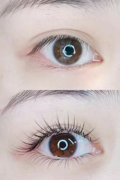 Không sử dụng sản phẩm chứa dầu sau khi nối mi