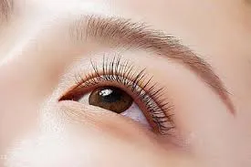 Các loại sợi mi siêu mảnh cho kỹ thuật nối mi tự nhiên tại NguyenBeauty