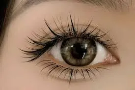 Các loại mi nối khác nhau (lụa, volume) ảnh hưởng độ bền mi nối.